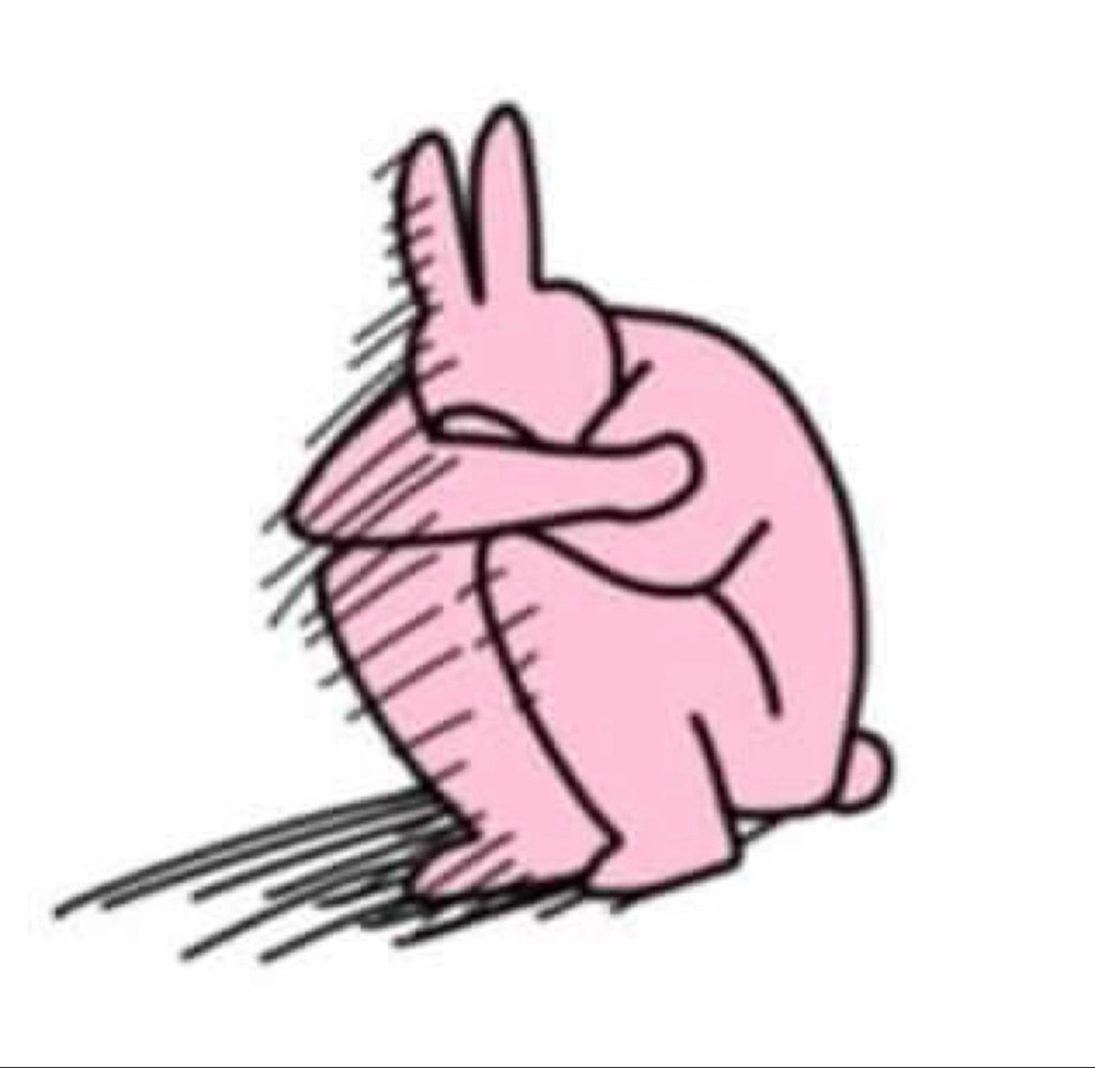 Meme thỏ hồng ngu mang phong cách hài độc đáo