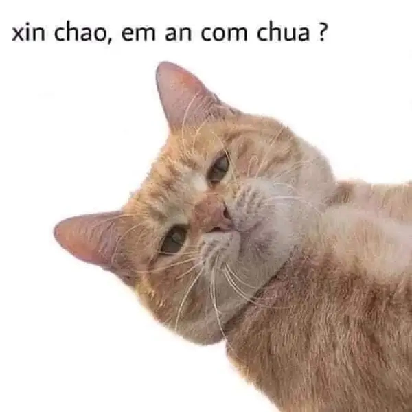 Tips dùng ảnh meme xin chào đúng lúc và hợp cảnh