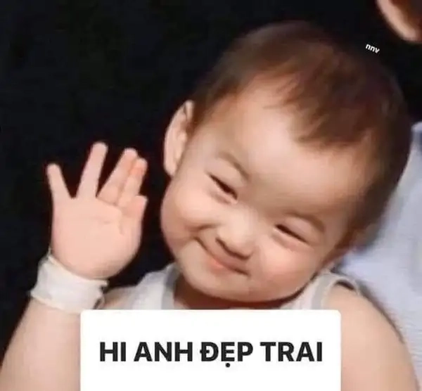 Meme xin chào đáng yêu mang niềm vui bất tận