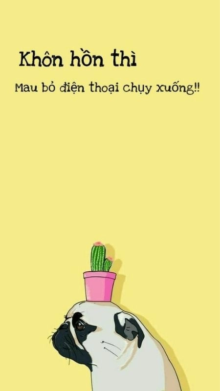 Hình nền bỏ điện thoại tao xuống cute dễ thương