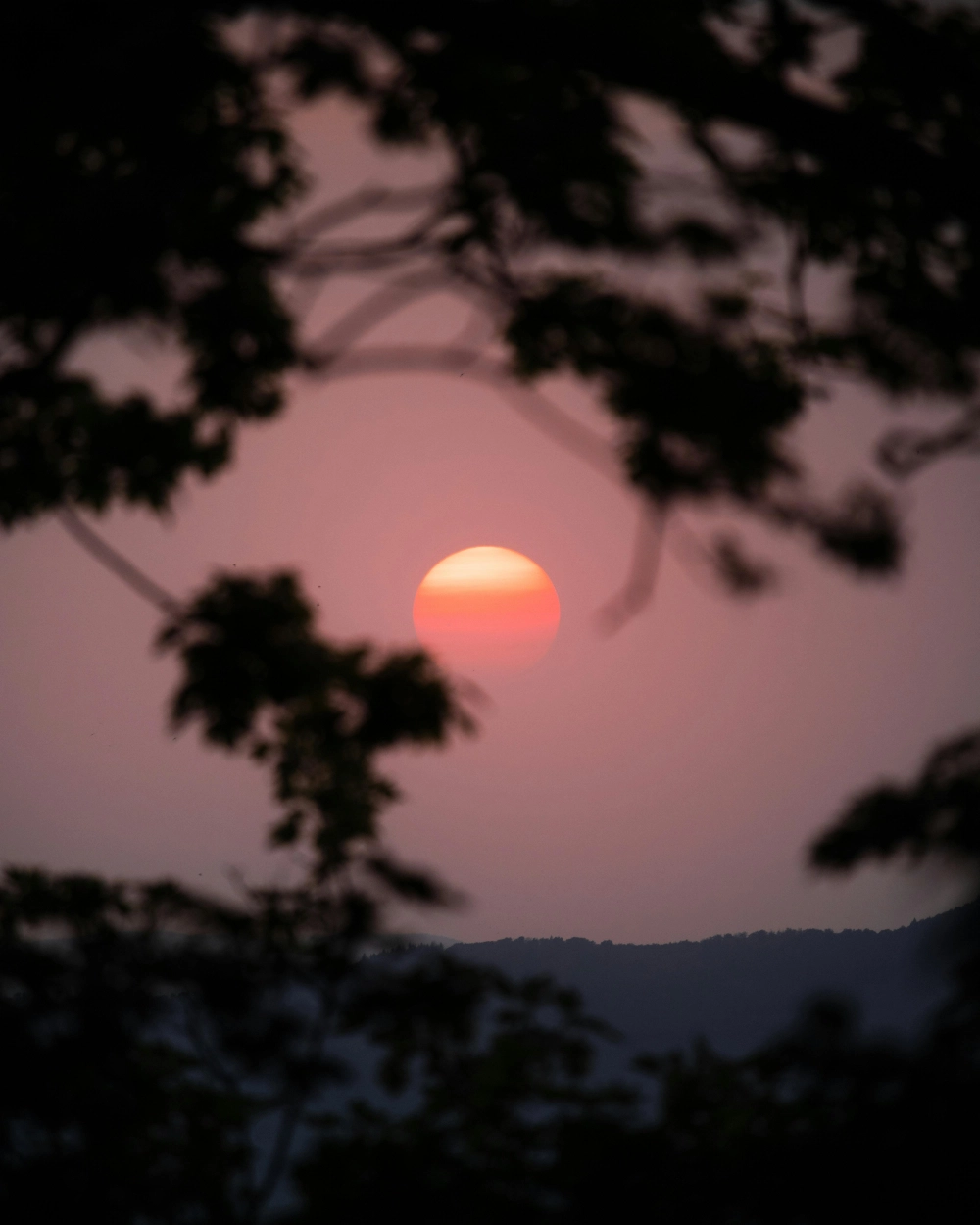 Hình nền hoàng hôn lãng mạn nhuộm màu trời tím