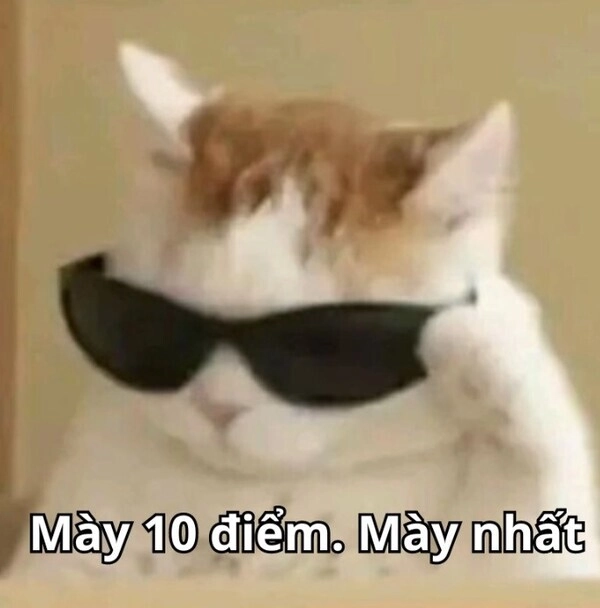 Meme 10 điểm cute dễ thương làm say lòng cư dân mạng