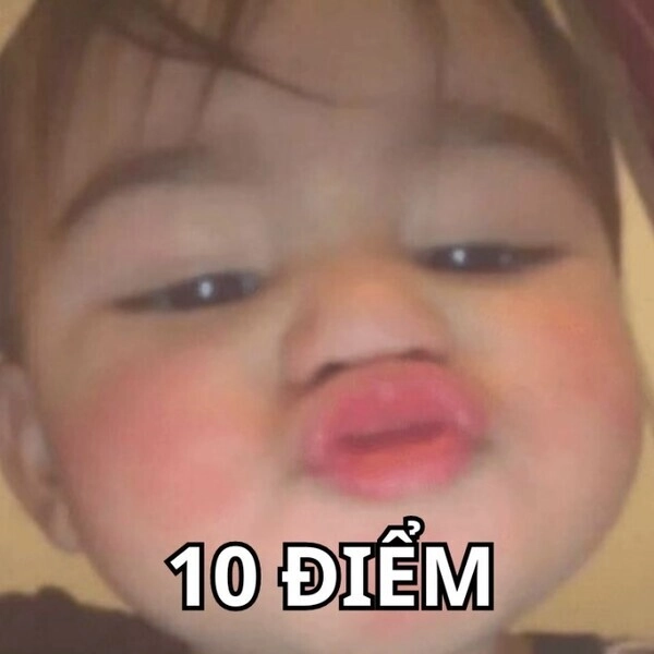 Tips dùng ảnh meme 10 điểm phù hợp mọi hoàn cảnh