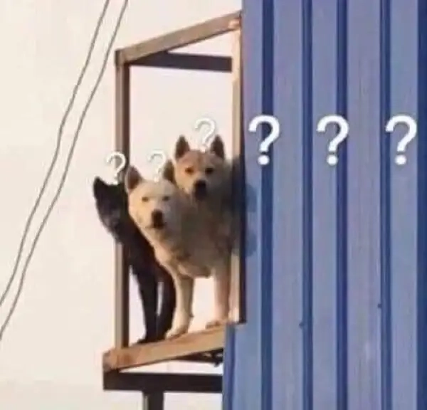 Hình meme hỏi chấm thu hút mọi ánh nhìn thích thú