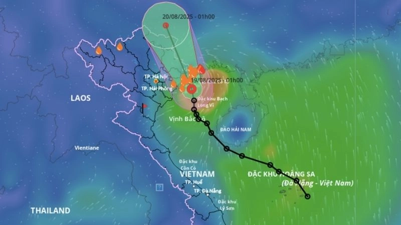 Tâm áp thấp là trung tâm của áp thấp nhiệt đới hình thành