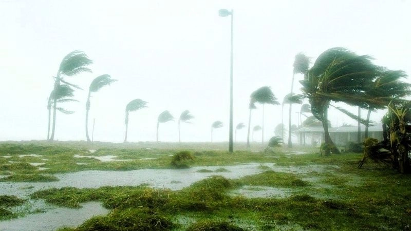 Bão nhiệt đới có thể hình thành từ áp thấp nhiệt đới kéo dài