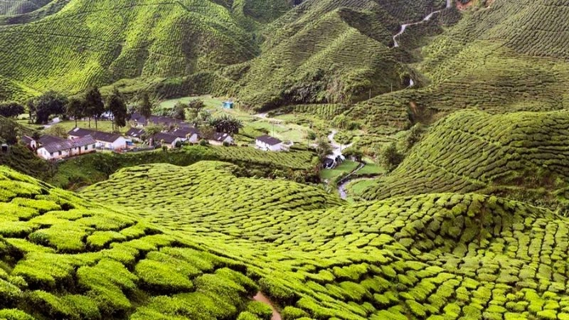 Độ cao cao nguyên ảnh hưởng mạnh đến nhiệt độ khí hậu