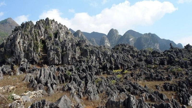 Đặc điểm cao nguyên gồm địa hình cao rộng và thoáng gió