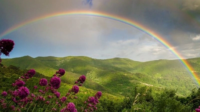 Cầu vồng là dải màu xuất hiện sau mưa nhờ ánh sáng khúc xạ