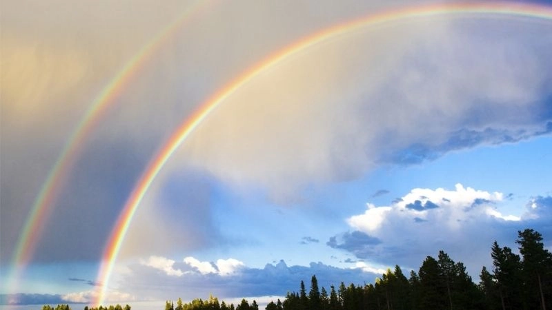 Phản xạ kép trong hạt nước giúp hình thành cầu vồng đôi