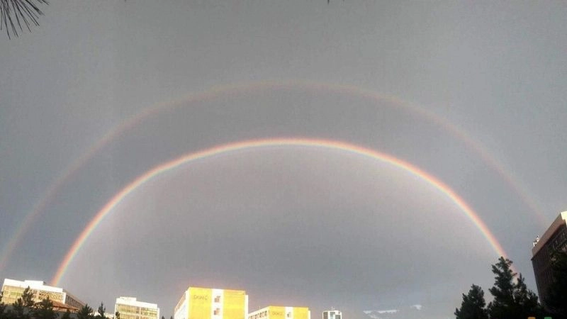 Vòng cung đôi biểu hiện rõ cấu trúc của cầu vồng đôi