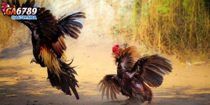 Hướng Dẫn Chi Tiết - xoilactv An Toàn, Nhanh Chóng Và Hiệu Quả