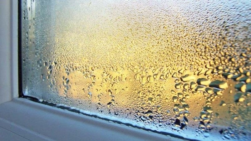 Lượng hơi nước trong không khí chính là khái niệm về độ ẩm