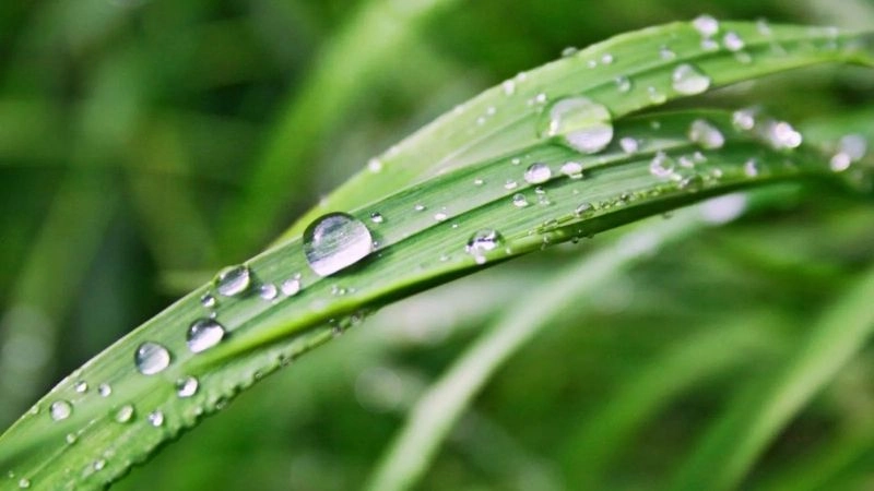 Điểm sương là mốc độ ẩm đạt ngưỡng ngưng tụ hơi nước