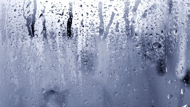 Trạng thái bão hòa là khi không khí chứa tối đa độ ẩm