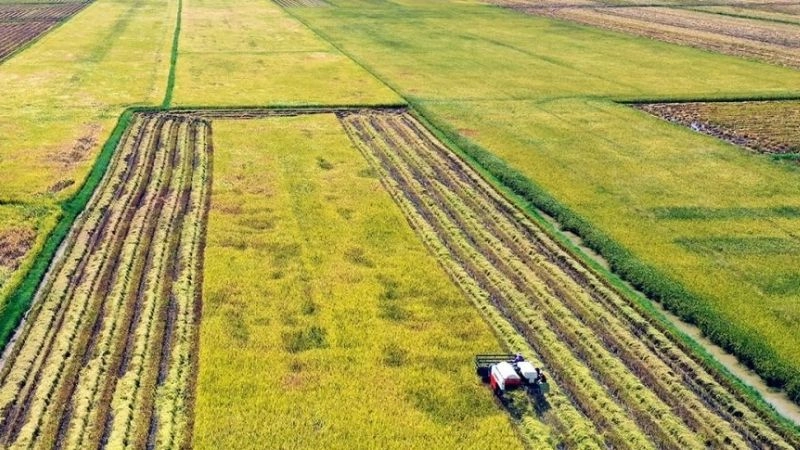 Ảnh hưởng đồng bằng điều tiết lưu thông không khí và nhiệt