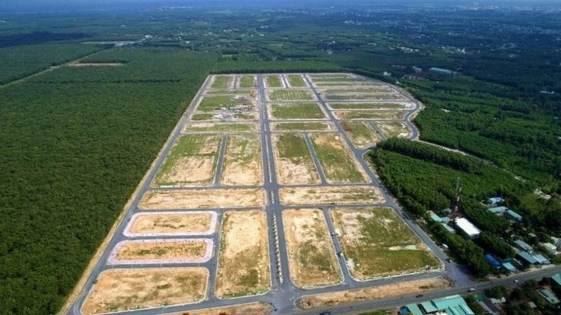 Vùng đồng bằng tạo môi trường khí hậu thuận lợi sinh sống