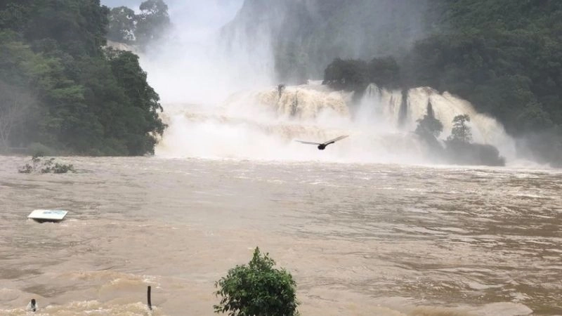 Lưu lượng nước tăng nhanh trong dòng chảy do mưa