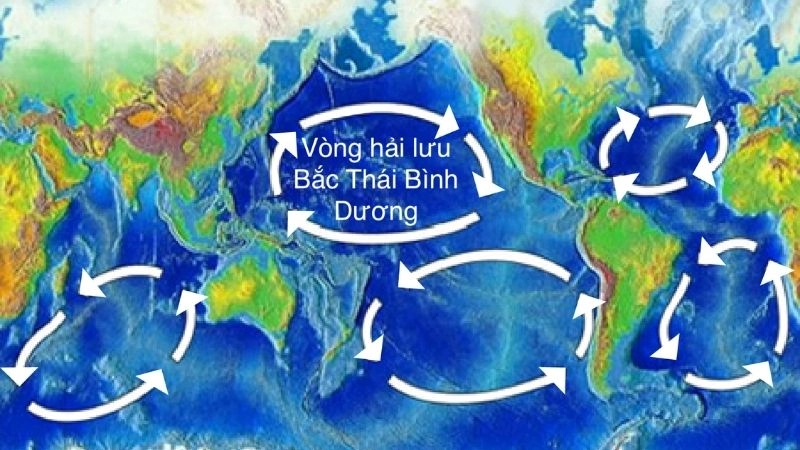 Hải lưu lạnh khiến khu vực ven biển trở nên mát và khô hơn