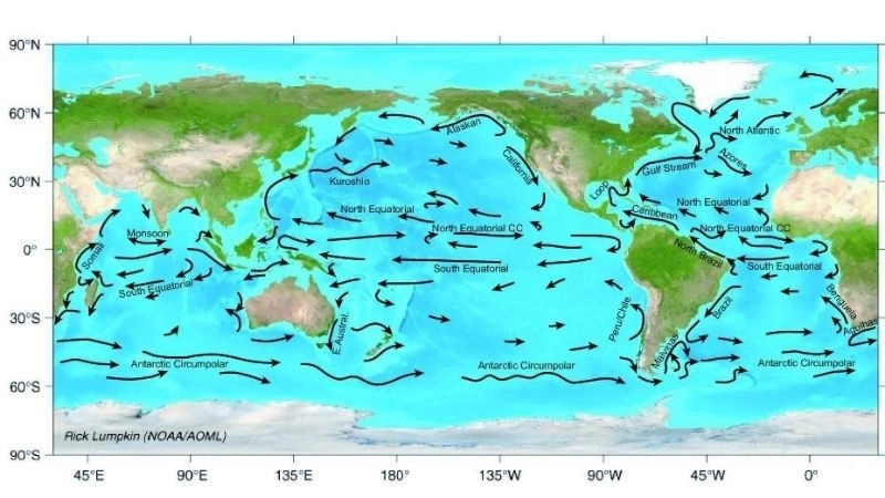 Dòng lạnh là gì mô tả dòng hải lưu nhiệt độ thấp