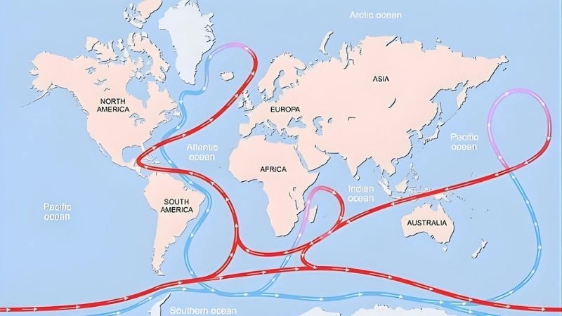 Dòng biển nóng góp phần tăng nhiệt độ không khí vùng đi qua