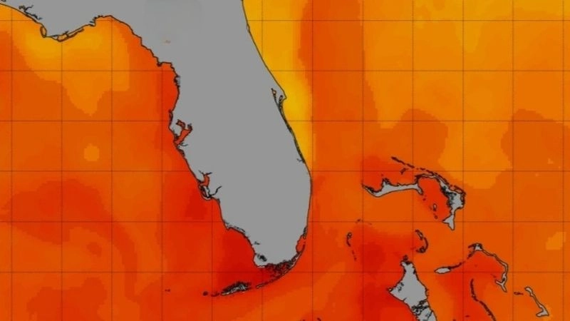 Nhiệt độ dòng nóng tác động mạnh đến hình thái khí hậu
