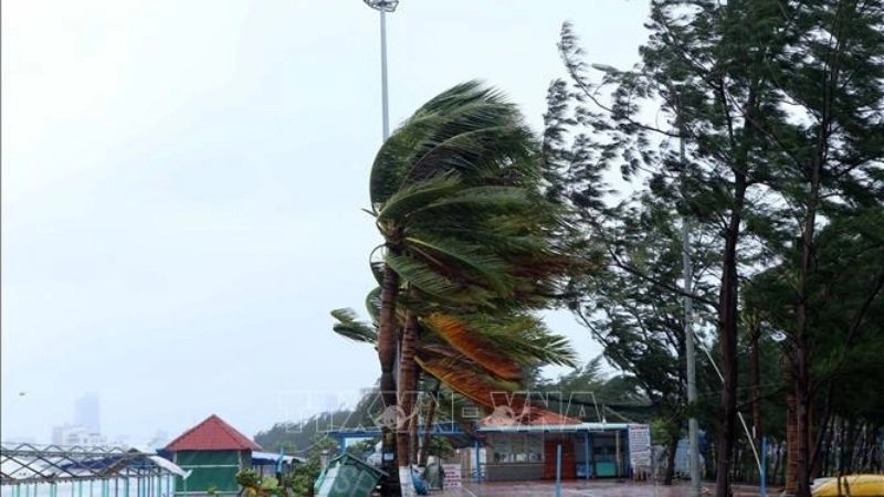 Gió giật mạnh thường kèm theo sự xuất hiện của dông