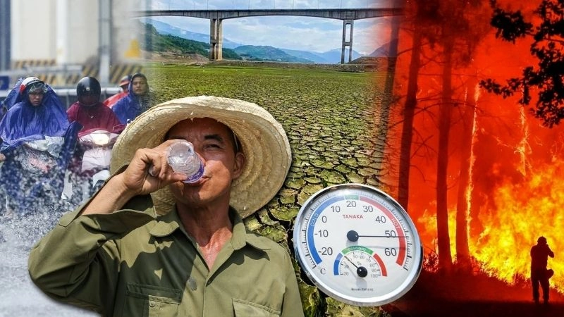 Ảnh hưởng enso tác động mạnh đến thời tiết khu vực