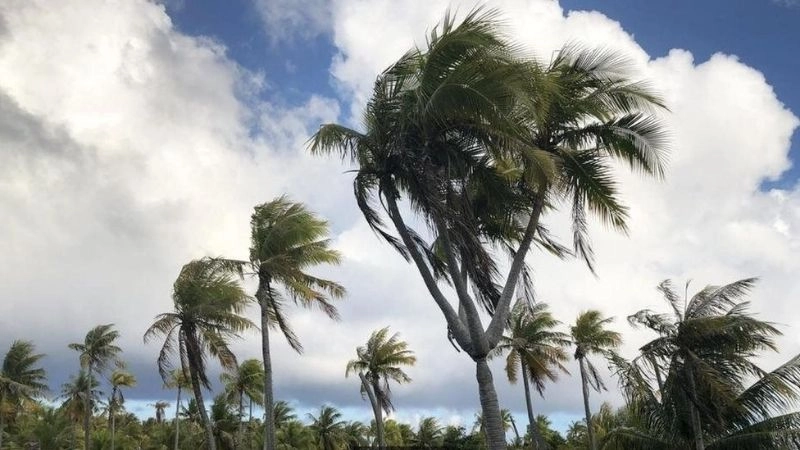 Chuyển mùa là thời điểm dễ xảy ra hiện tượng gió đổi chiều