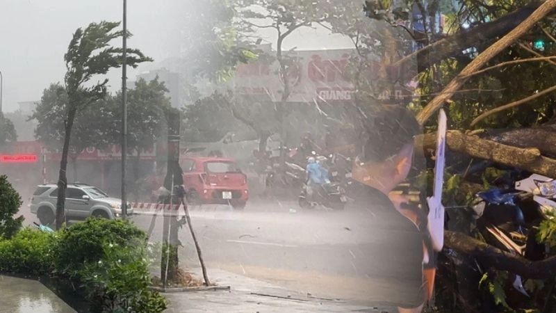 Gió giật là hiện tượng gió tăng tốc mạnh trong thời gian ngắn