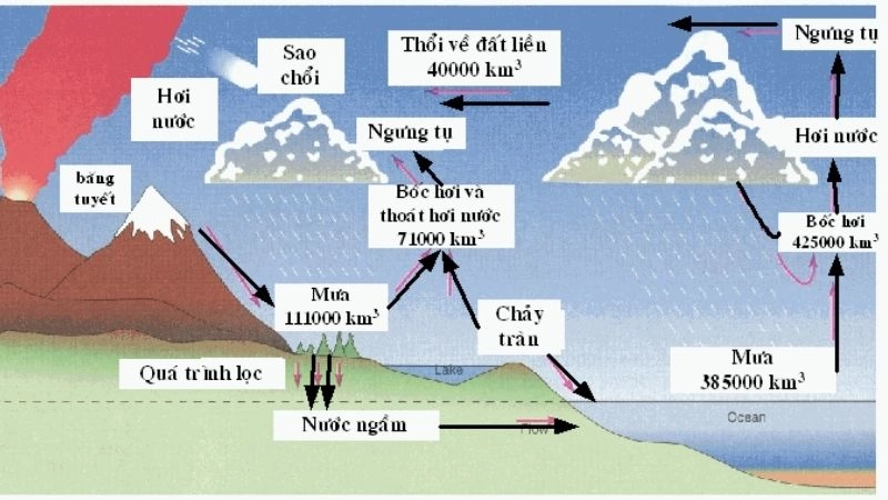 Vòng tuần hoàn khí quyển tạo động lực cho hoàn lưu hadley