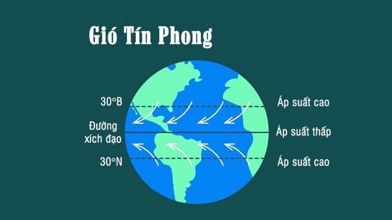 Gió tín phong là dòng gió chủ đạo trong hoàn lưu hadley