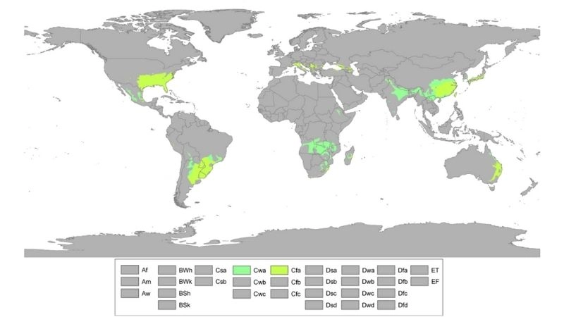Cận nhiệt đới là vùng hoàn lưu hadley suy yếu và hạ xuống