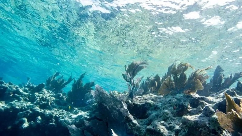 Biến đổi nhiệt độ nhỏ là dấu hiệu của khí hậu hải dương