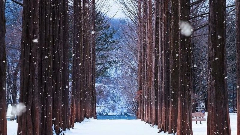 Khí hậu hàn đới là kiểu khí hậu xuất hiện chủ yếu ở hai cực của Trái Đất