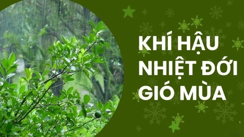 Khí hậu nhiệt đới gió mùa đặc trưng bởi mùa mưa rõ rệt