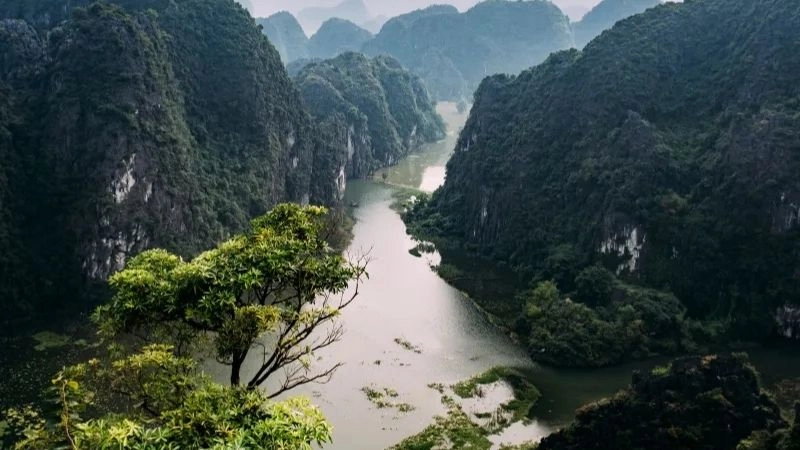 Vùng khí hậu nhiệt đới chịu tác động mạnh của khí hậu nhiệt đới gió mùa