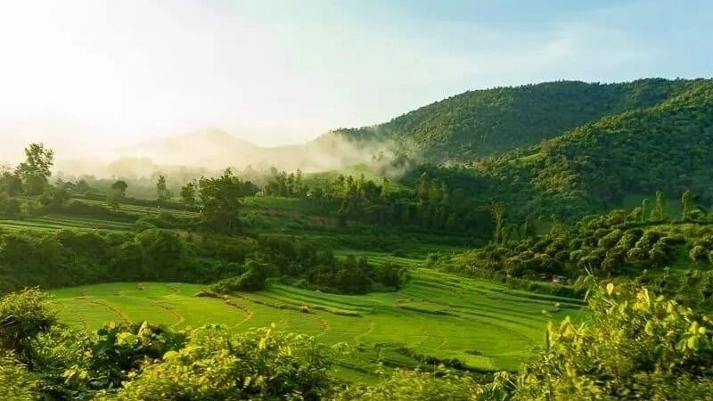 Ảnh hưởng khí hậu gió mùa quyết định chu kỳ mưa