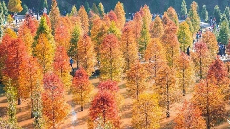 Khí hậu ôn đới mang sự cân bằng giữa nóng và lạnh