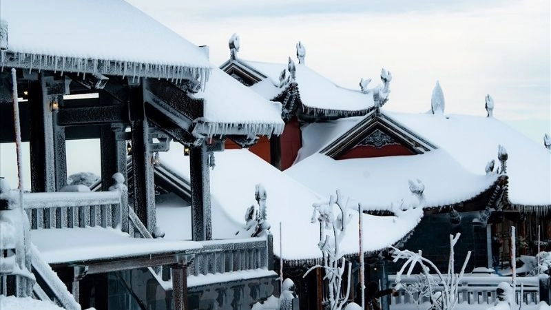 Lớp tuyết phủ là hiện tượng bề mặt được bao phủ hoàn toàn