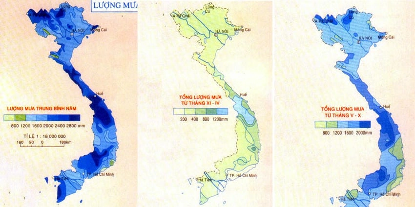 Phân bố mưa theo vùng là thước đo đa dạng của lượng mưa