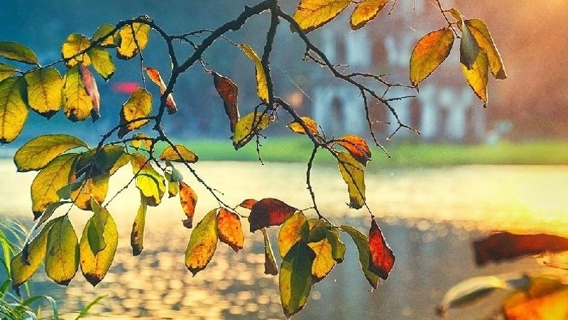 Tiết trời thu thường gợi nên cảm giác dịu dàng mát mẻ