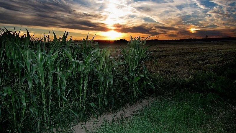 Hào quang quanh mặt trời giả là dấu hiệu khúc xạ ánh sáng