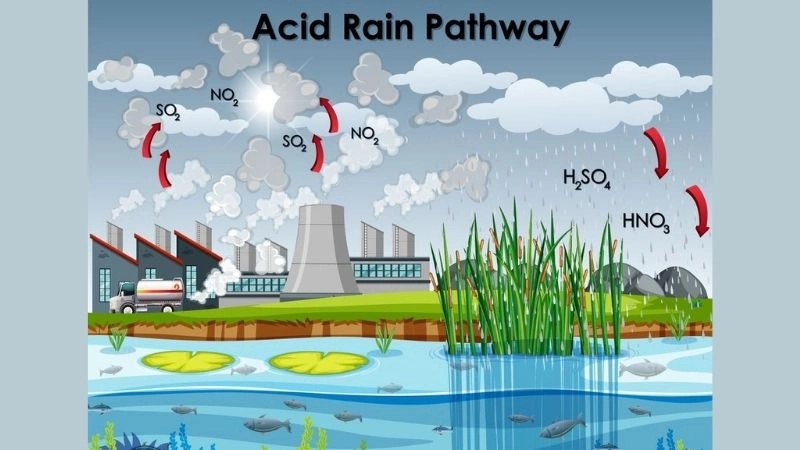 Ô nhiễm không khí là nguyên nhân chính gây mưa axit