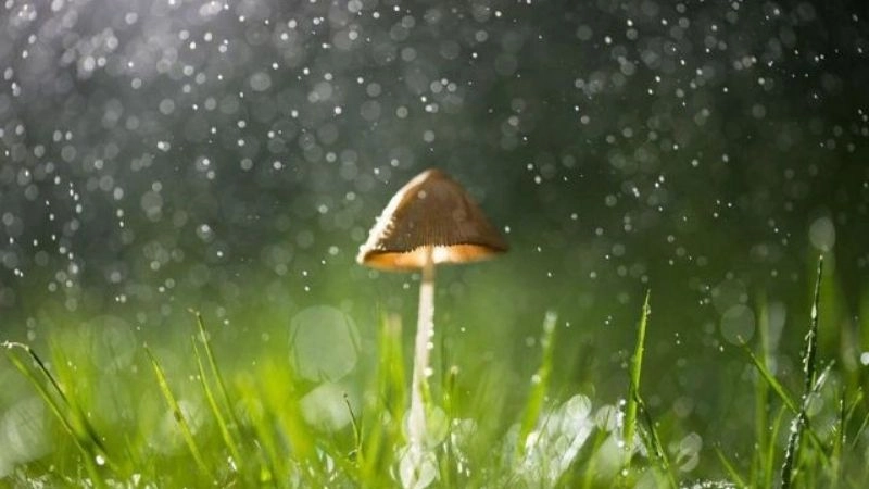 Nắng xuất hiện cùng mưa bóng mây tạo cảm giác lạ kỳ