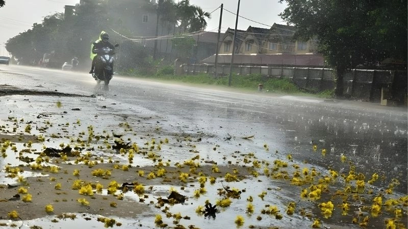 Thời điểm kết thúc mưa báo hiệu mưa cuối mùa sắp qua