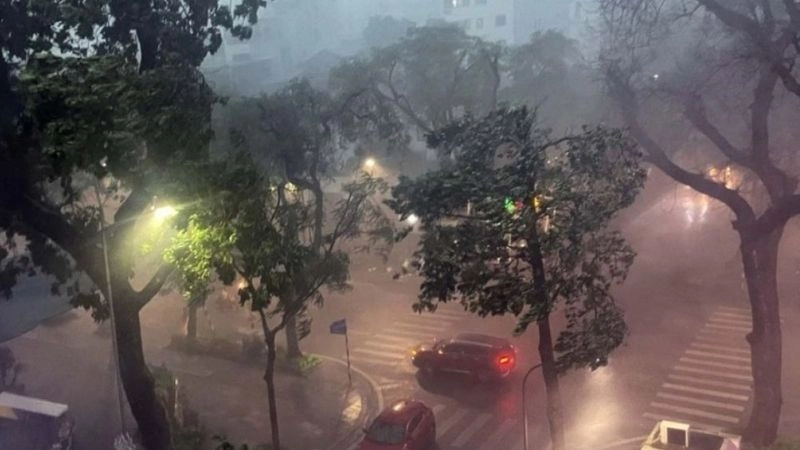 Gió giật mạnh là dấu hiệu đặc trưng của mưa dông