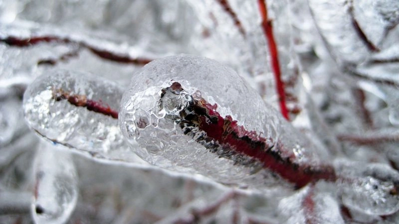 Lớp băng tạo thành từ mưa đóng băng bám lên bề mặt vật thể