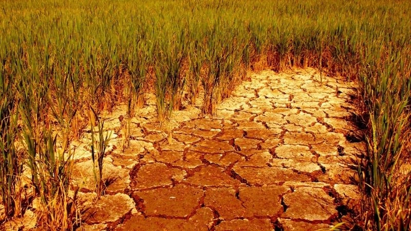 Độ ẩm không khí giảm sâu trong thời điểm mùa khô