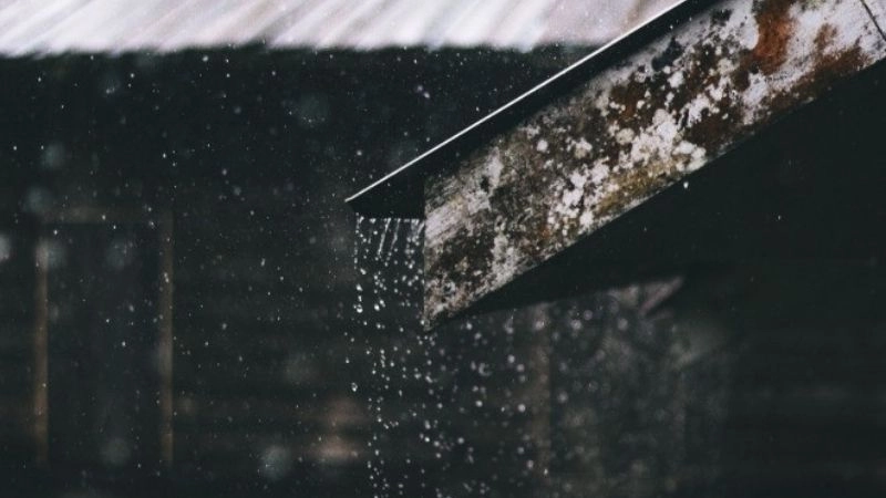 Giai đoạn tiểu mãn có thể báo hiệu sớm mùa mưa ngâu